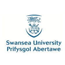 Swansea University