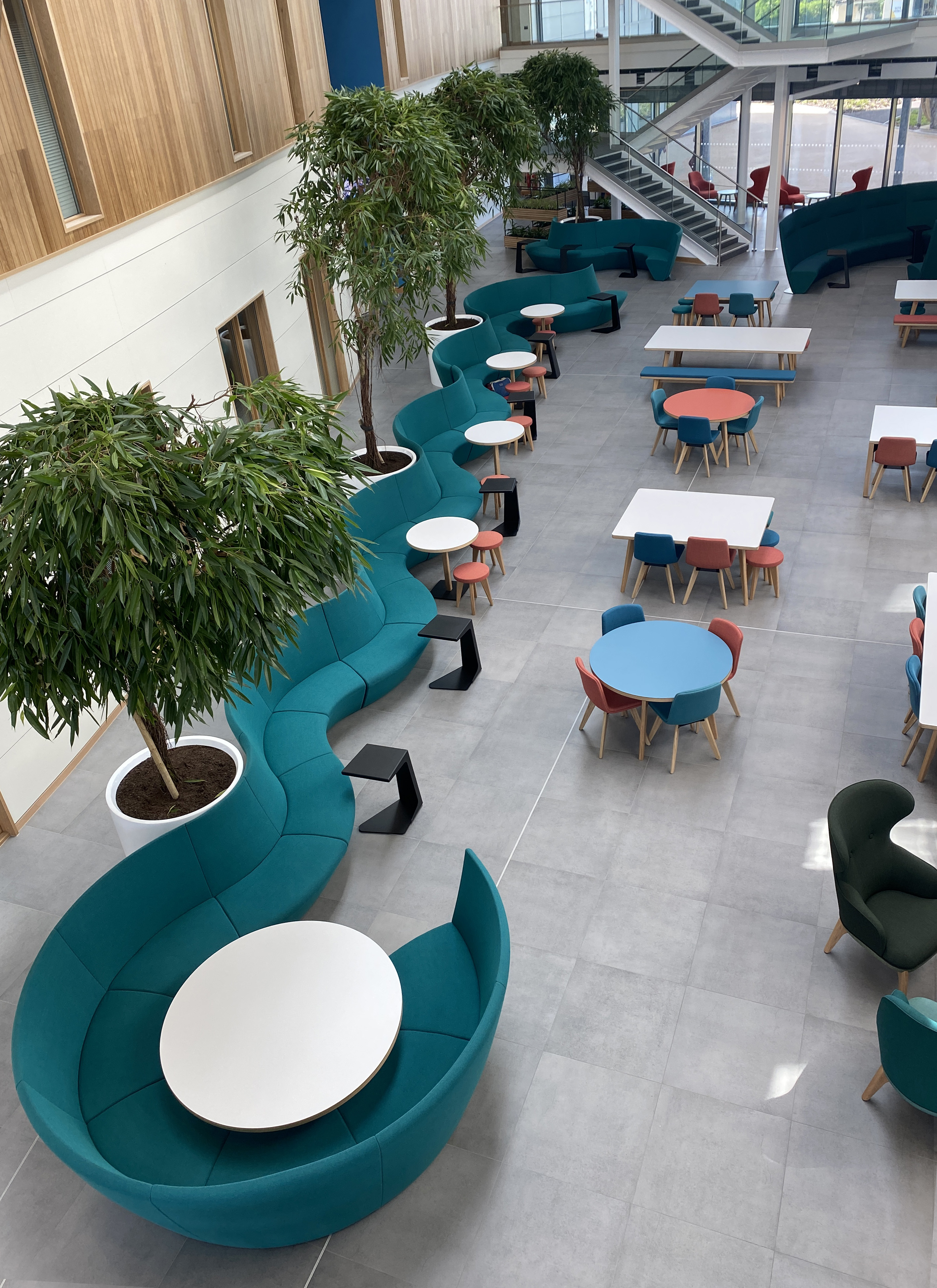 Professional Facility | Public Sector Client